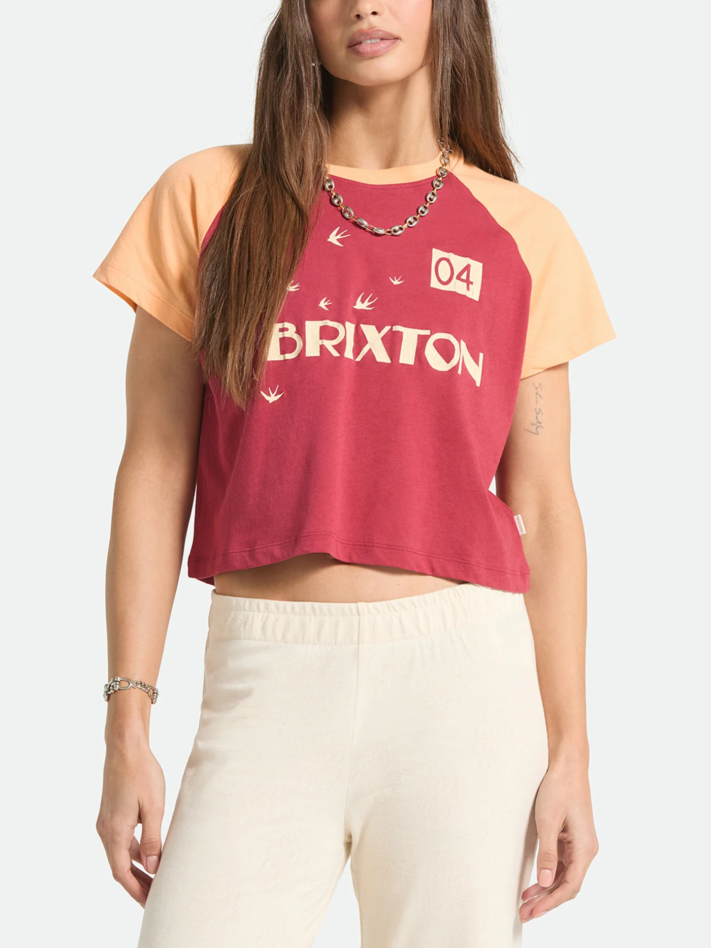 Swallow Sky Cropped T-Shirt