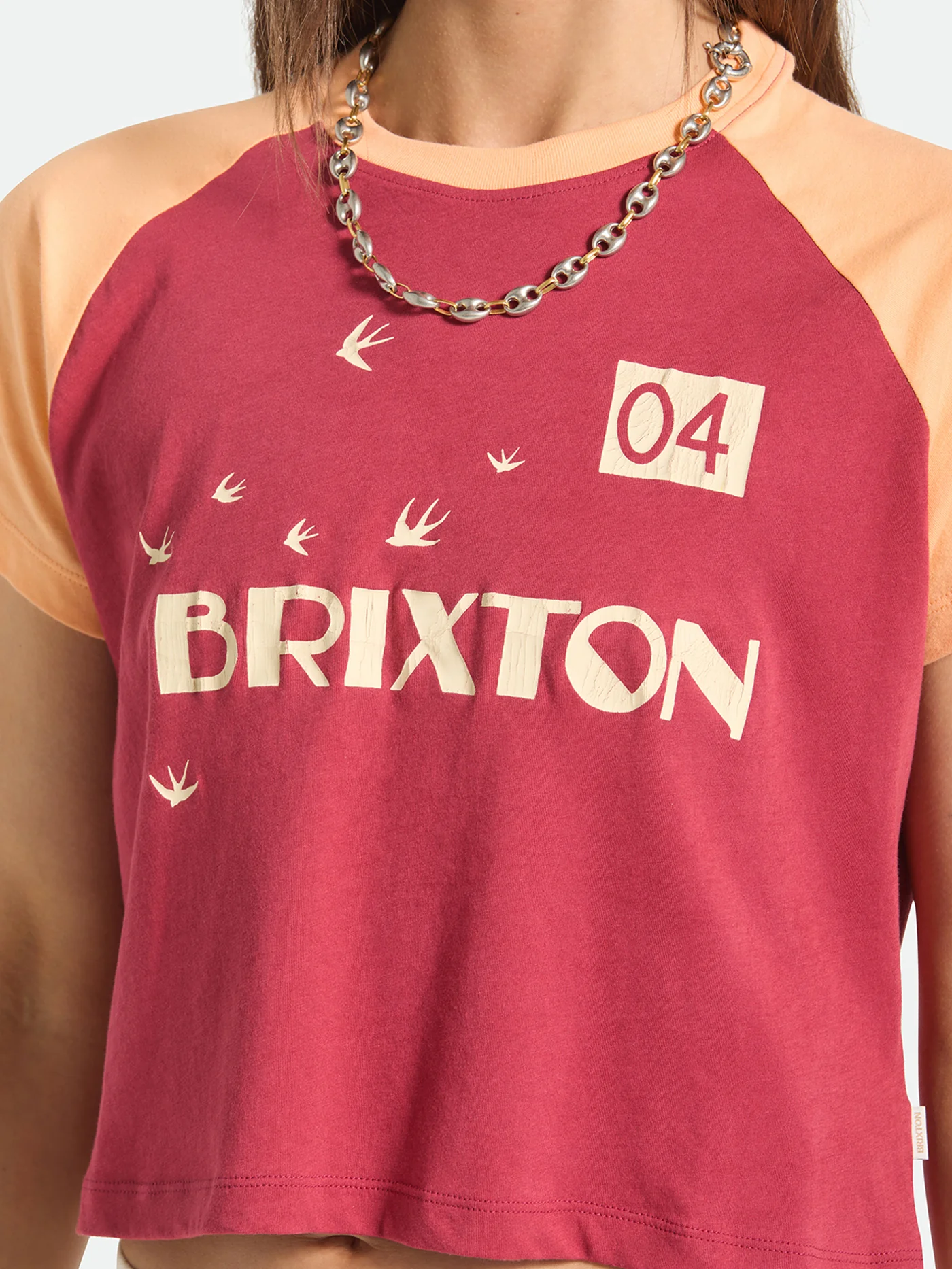 Swallow Sky Cropped T-Shirt - Image 4