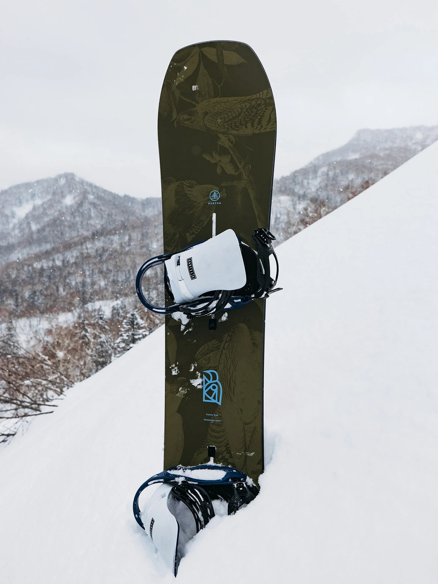Family Tree Hometown Hero Camber Snowboard - Image 11