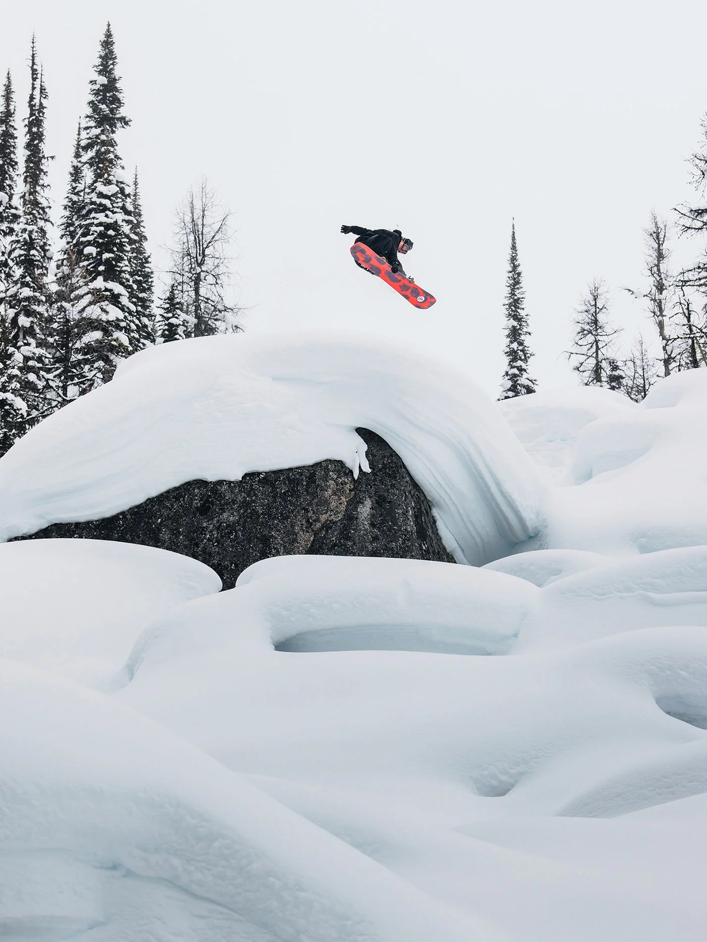 Family Tree Hometown Hero Camber Snowboard - Image 13