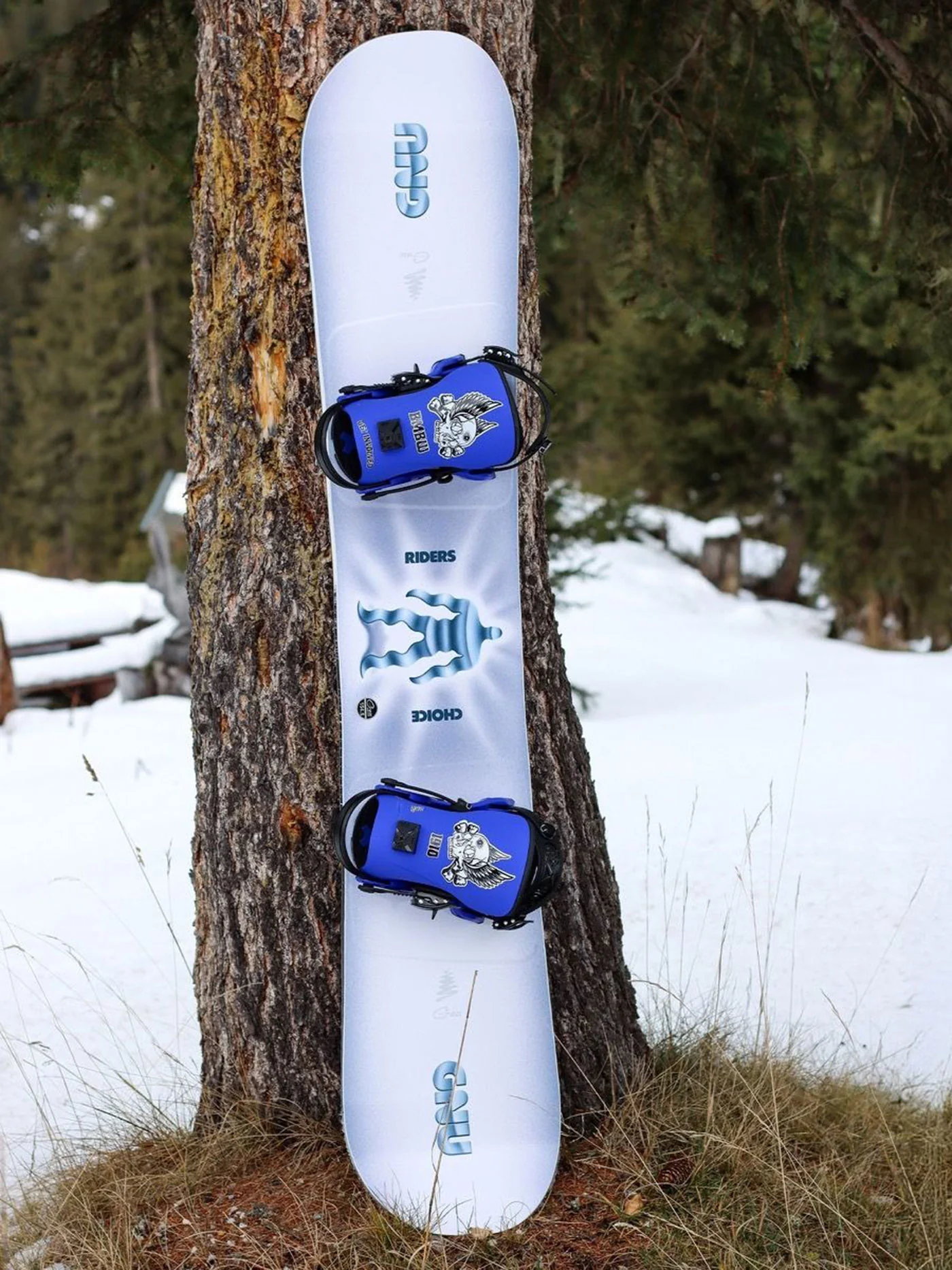 Riders Choice Snowboard - Image 8