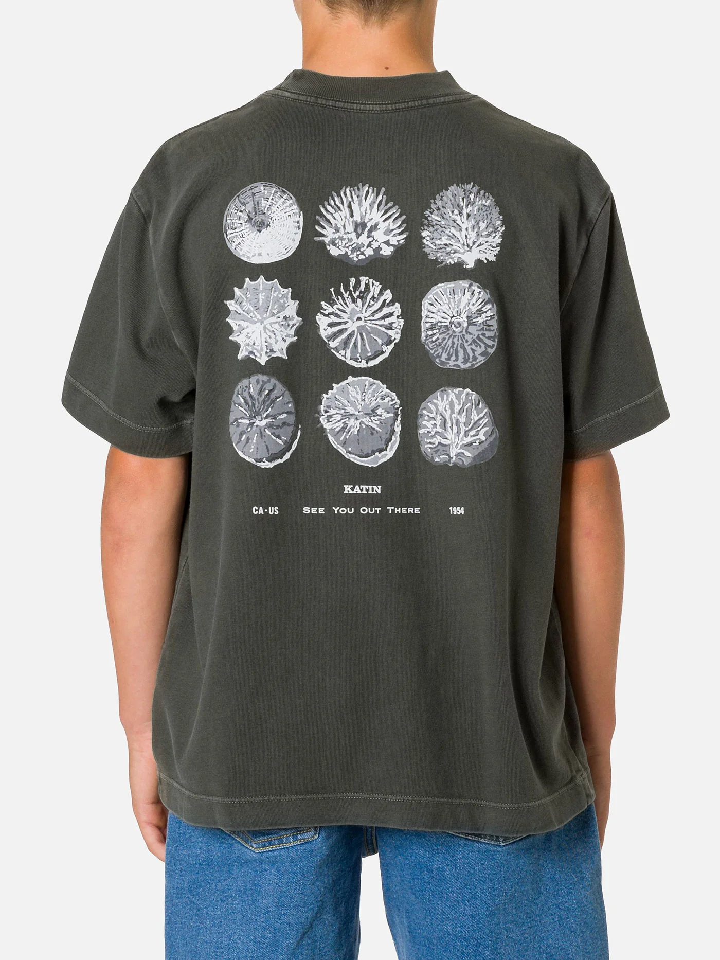 Specimen Box Fit T-Shirt (Youth 7-14) - Image 2