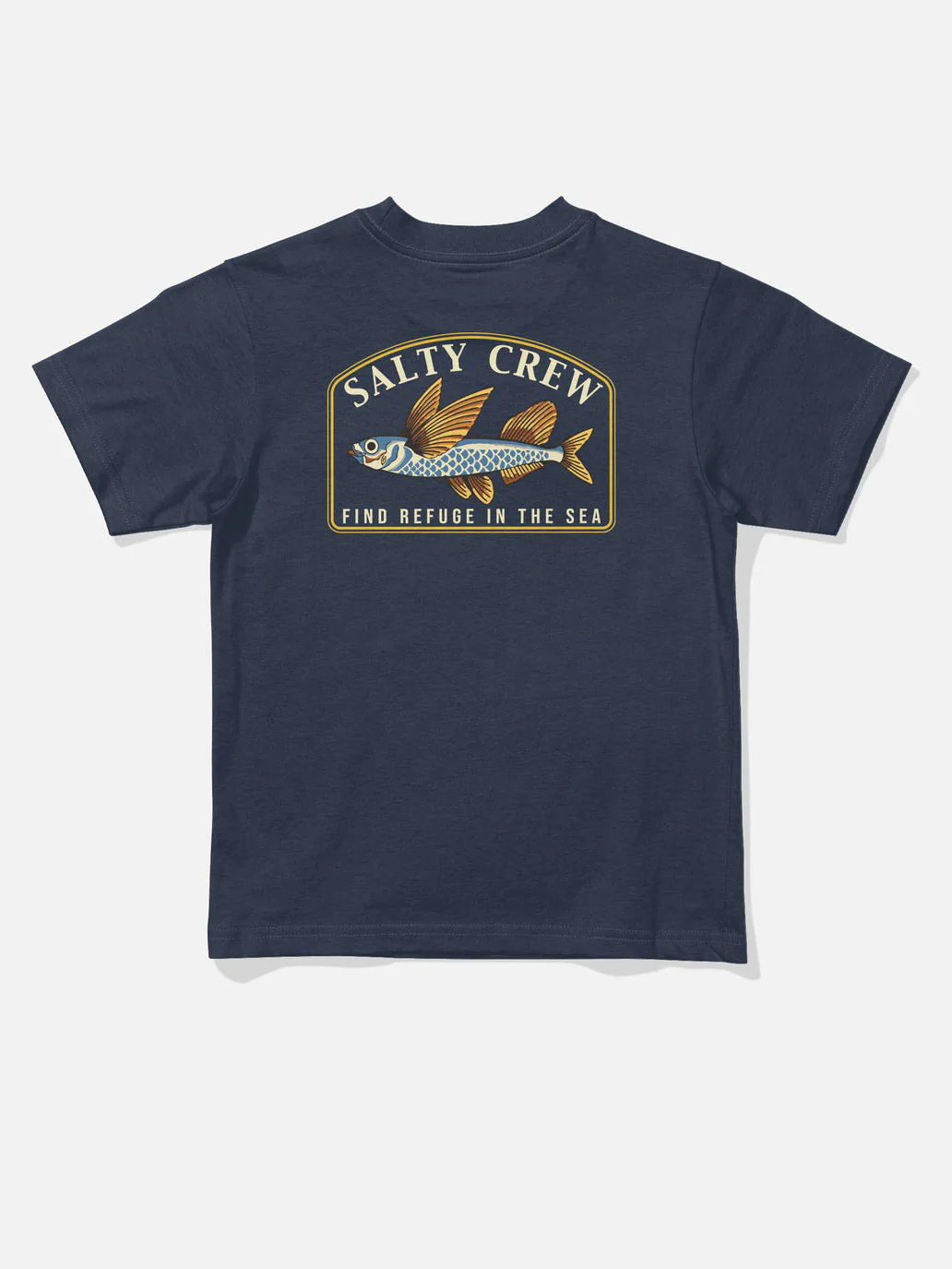 Fly Home T-Shirt (Boys 2-7) - Image 4